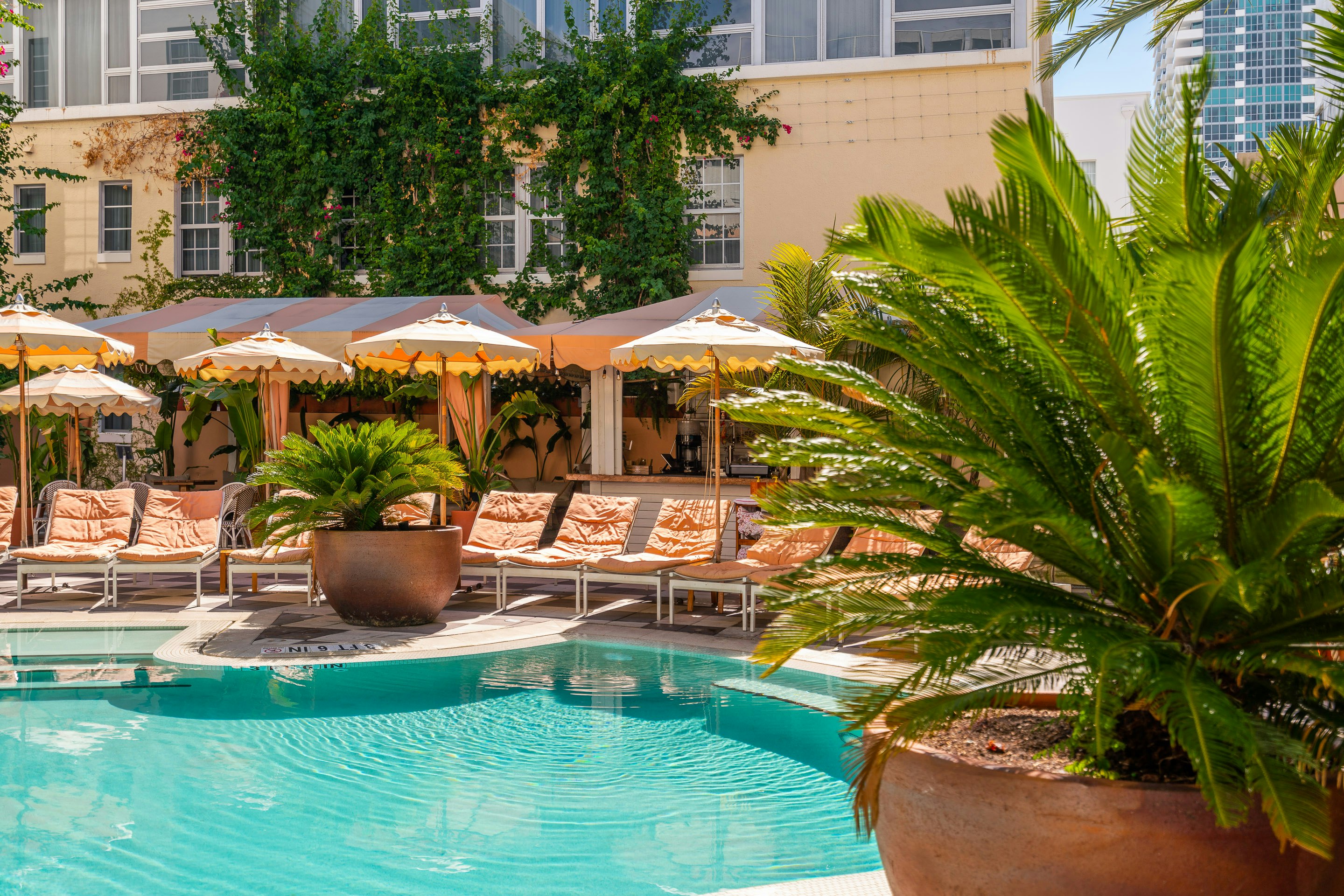 The Plymouth Hotel South Beach 47/50