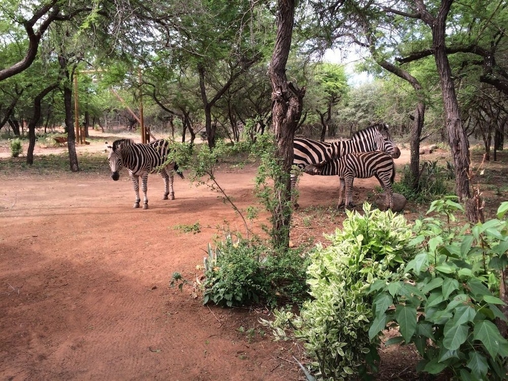 Kruger Cottage 21/36