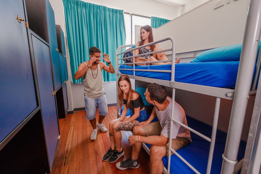 Bunk Backpackers 38/50