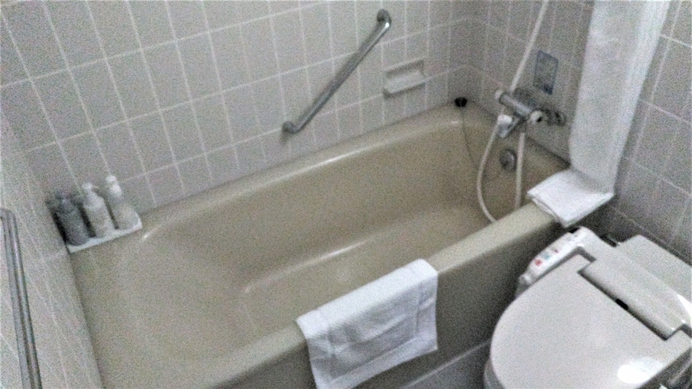 Satsuma Resort Hotel 10/62