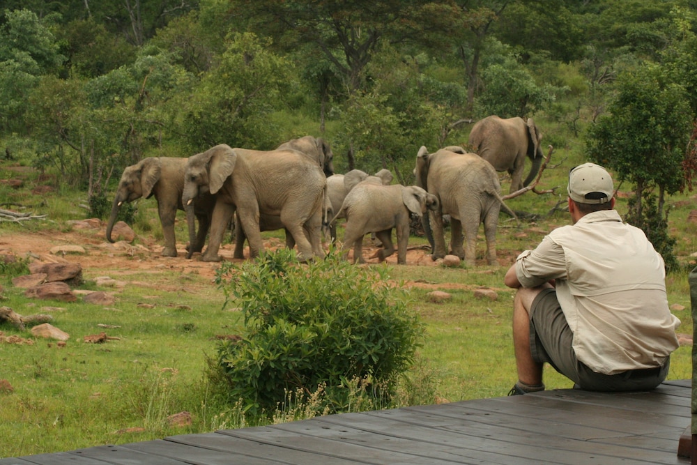 Makweti Safari Lodge 21/37