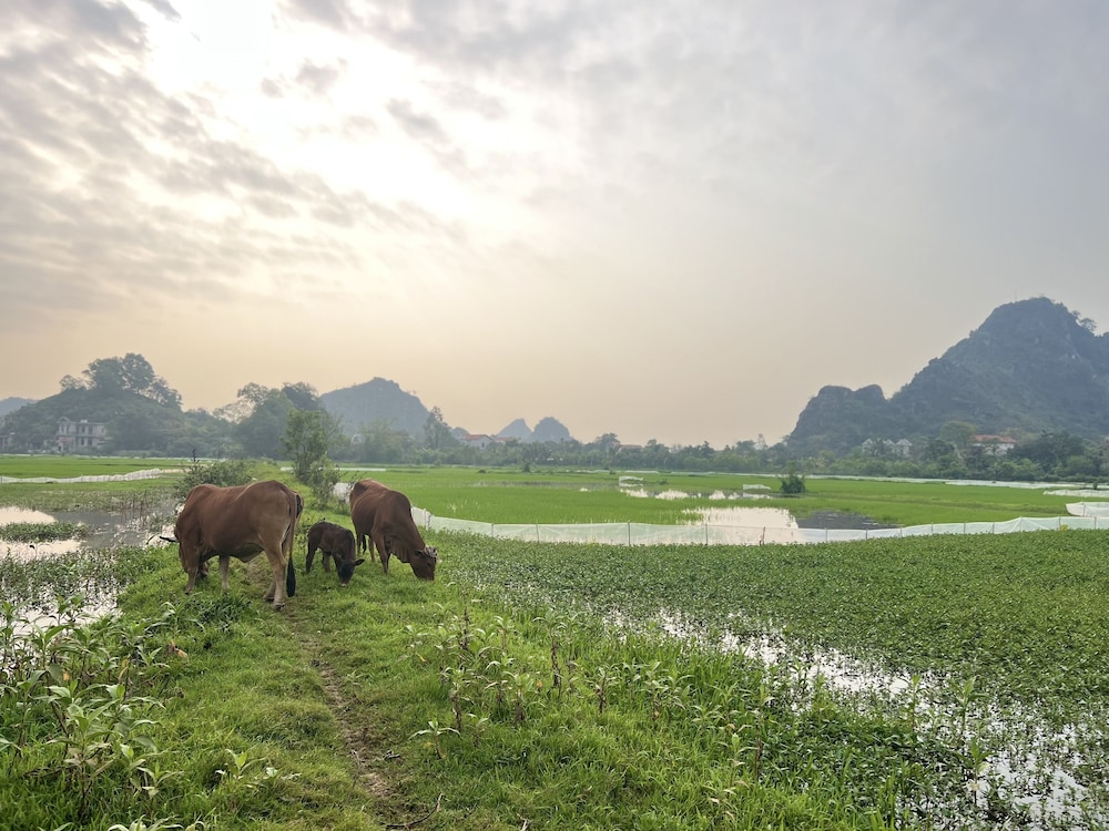 Ninh Binh Family Homestay 34/50