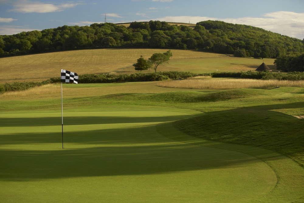 The Goodwood Park 45/50