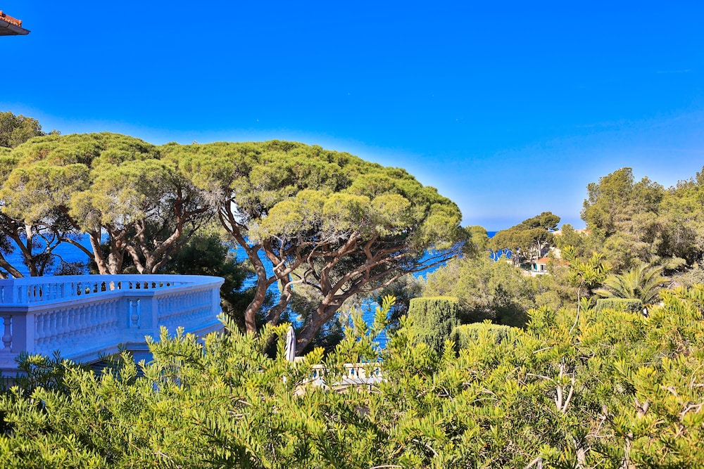 Hotel Provencal 36/50