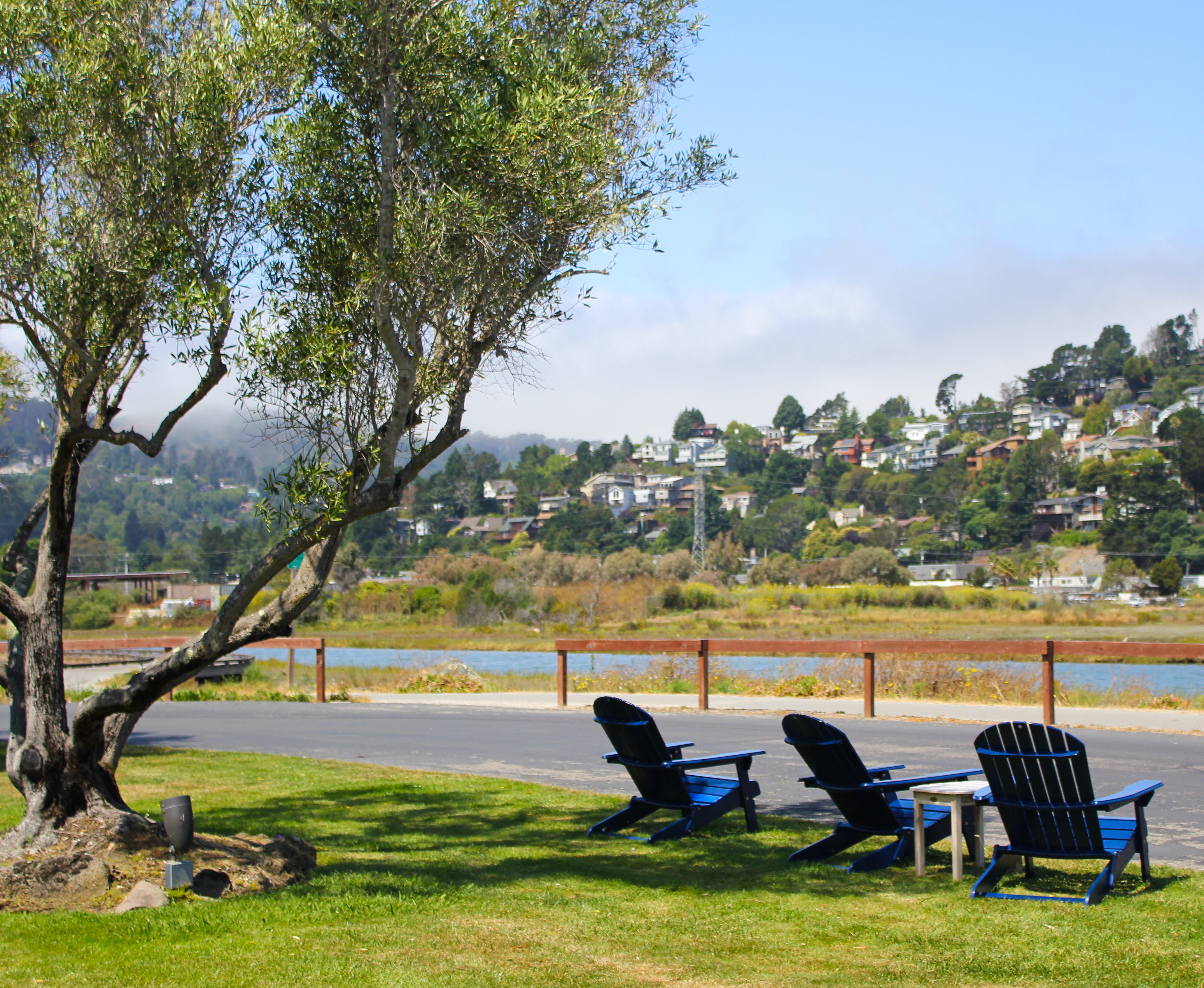 Holiday Inn Express Mill Valley San Francisco Area 92/92