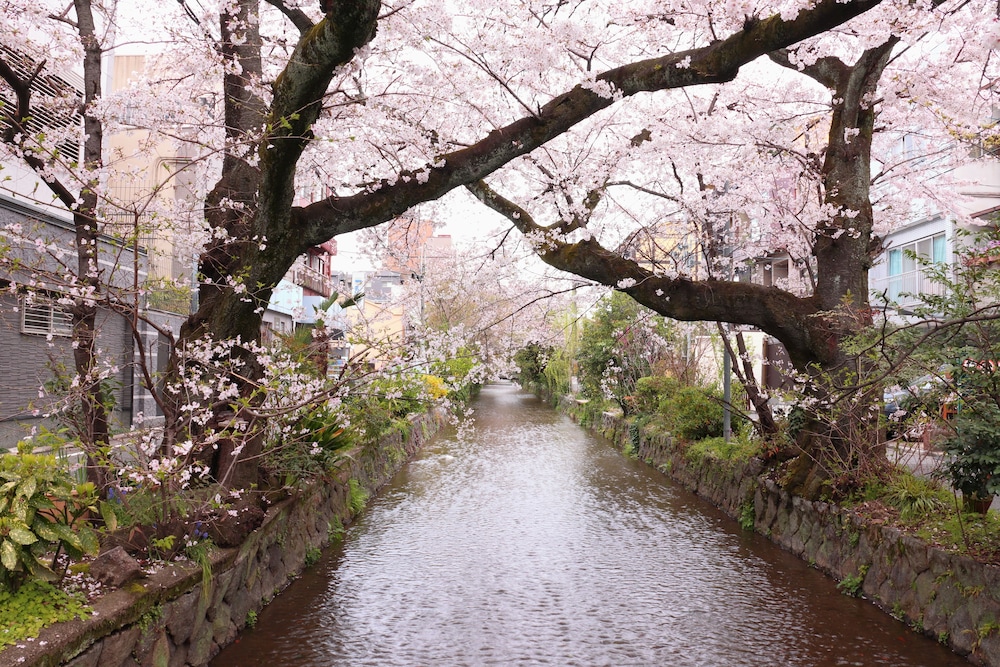 Kyoto Takasegawa Bettei 37/42