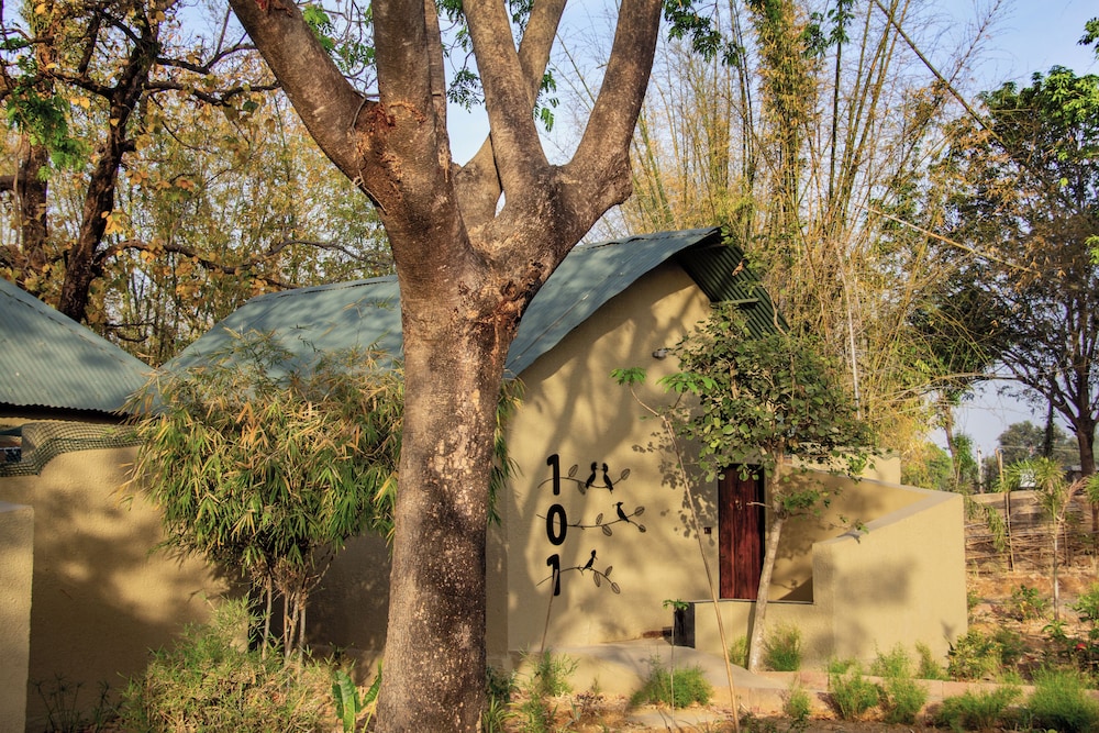 Tathastu Bandhavgarh 5/65