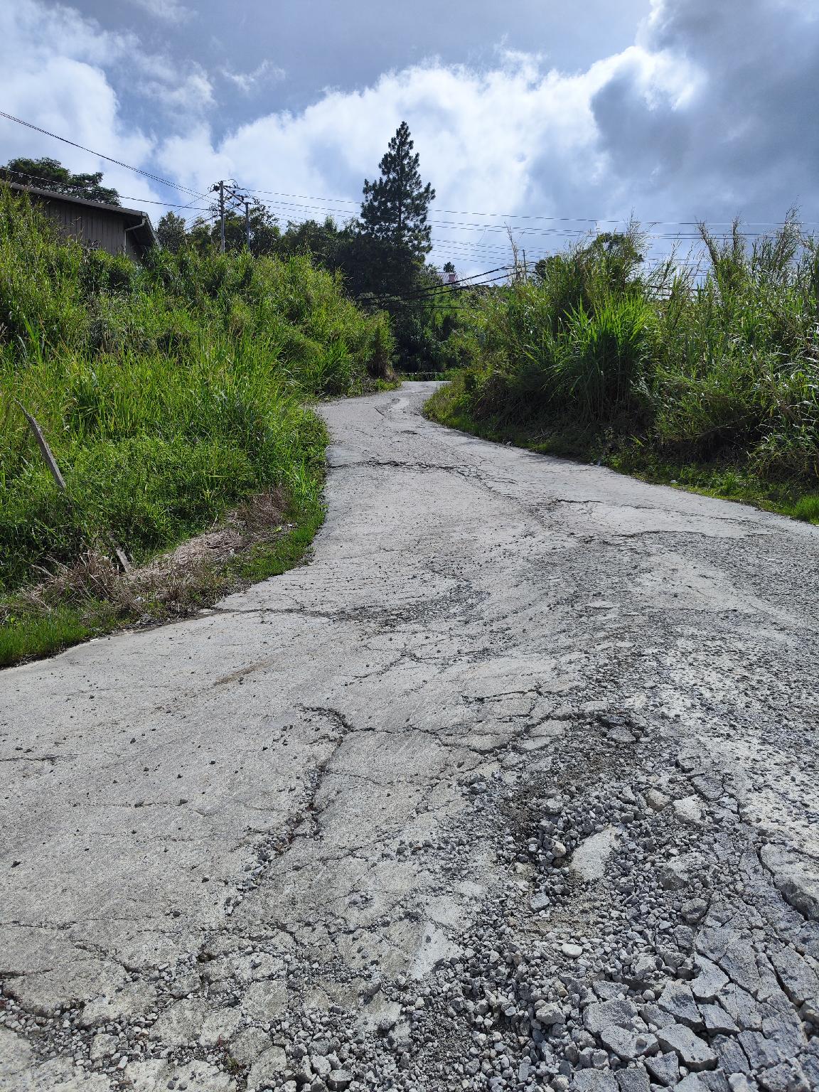 Blue Mountain Lodge Kundasang 18/19