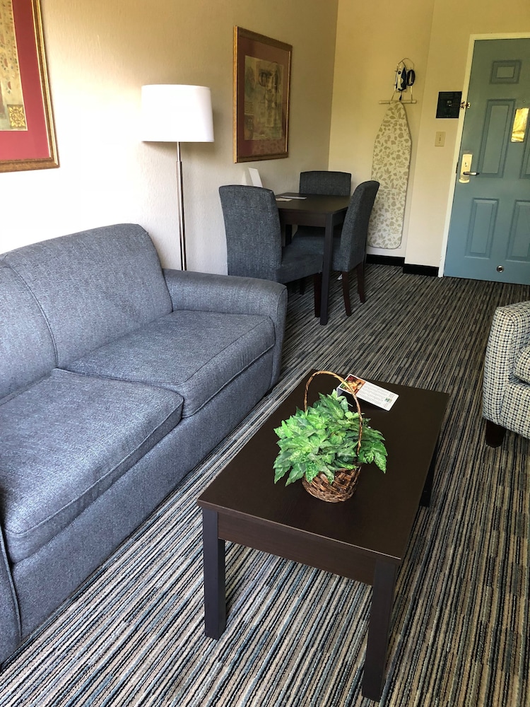 All Seasons Suites 20/54