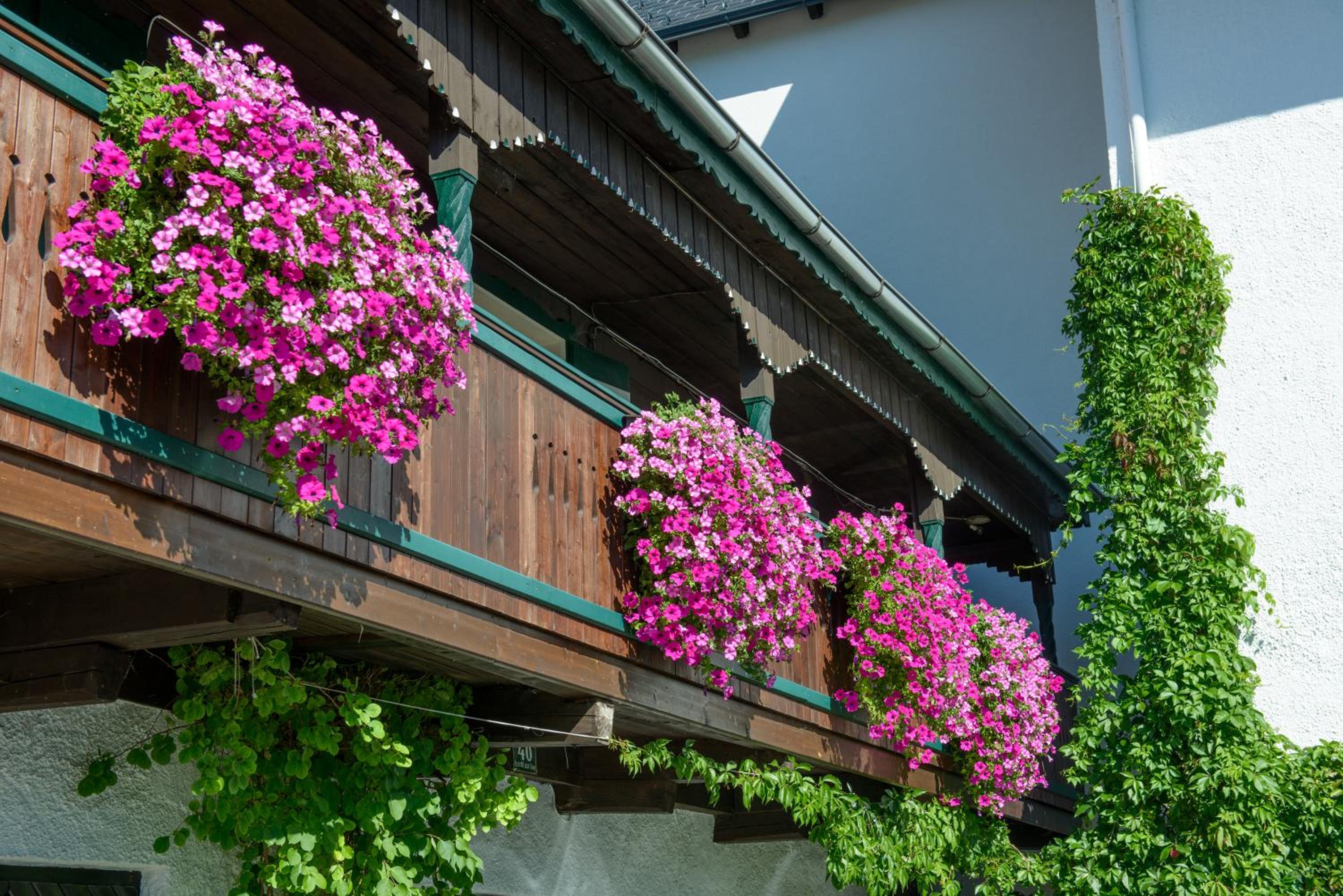 Seehotel Schlick 3/57