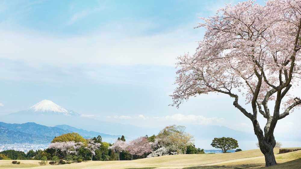 Nippondaira Hotel 32/34