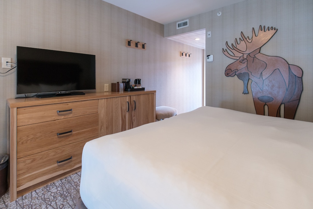 Moose Hotel And Suites 55/66