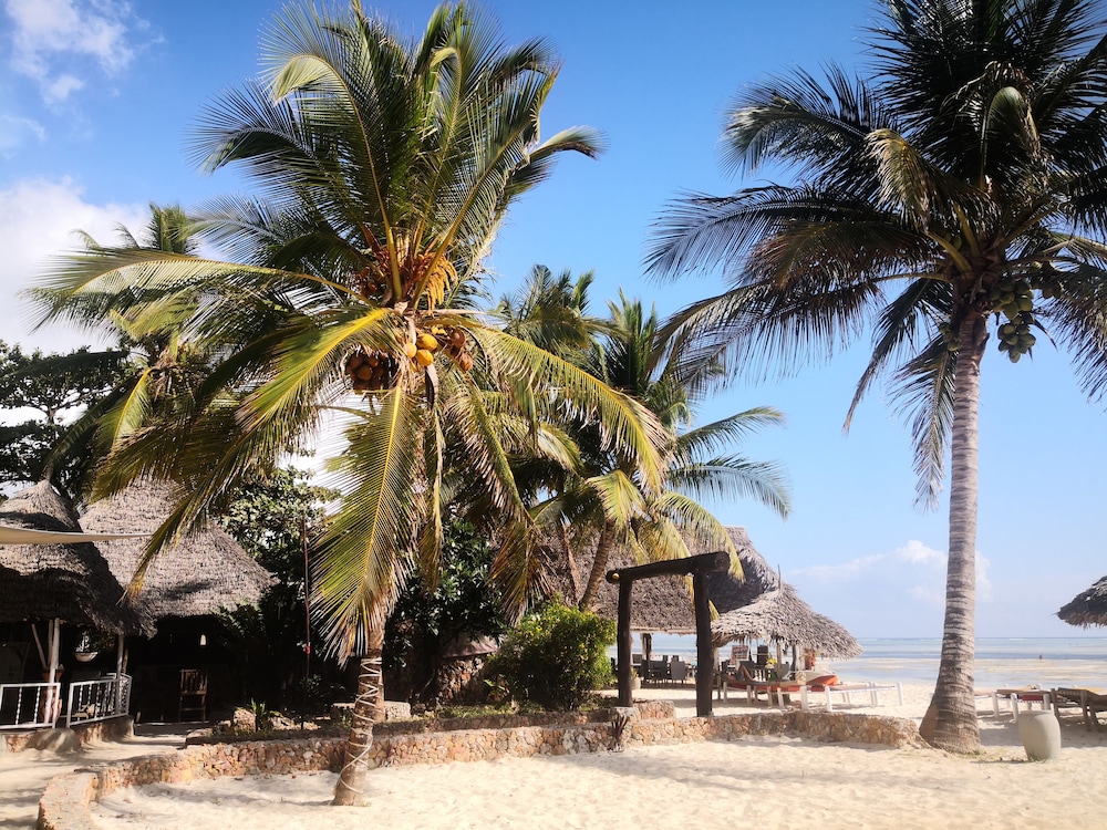 Mambo Ocean Resort 43/50
