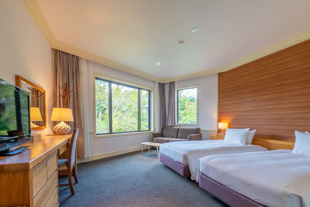 Hotel Sierra Resort Hakuba 29/70