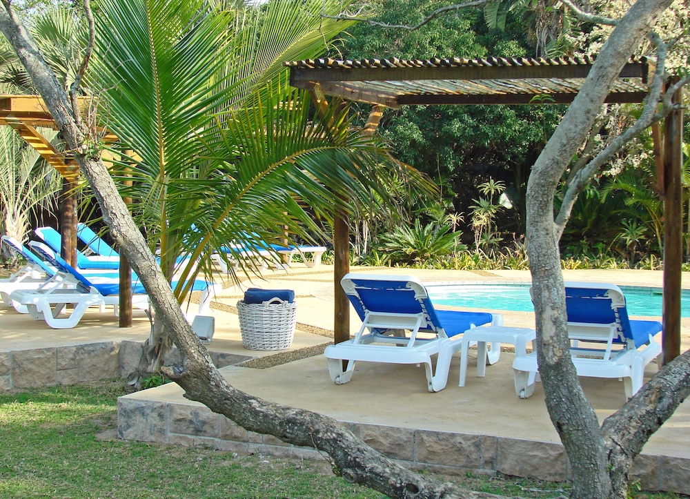 Emdoneni Lodge with Animal Care and Rehab Centre 11/66