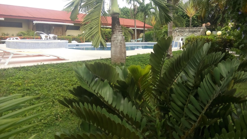 Hotel Villa Creole 7/54