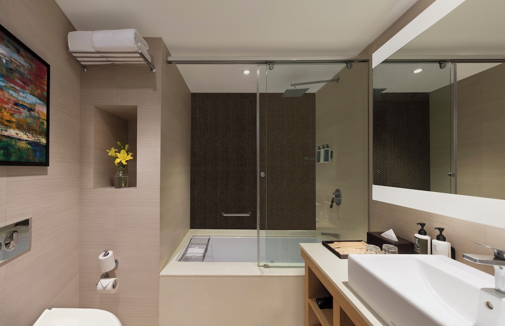 Novotel Lucknow Gomti Nagar 65/66