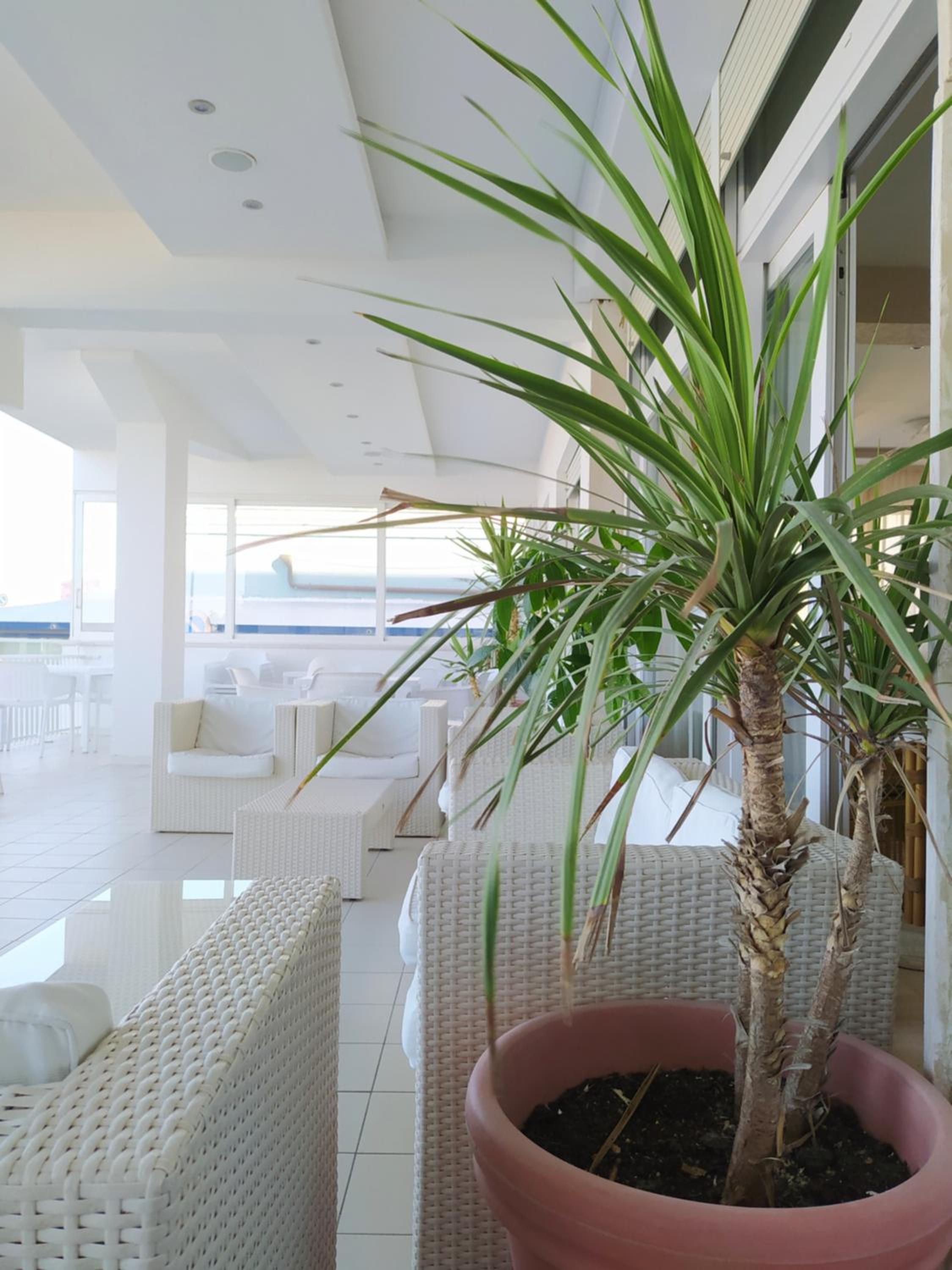 Hotel Elios 26/50