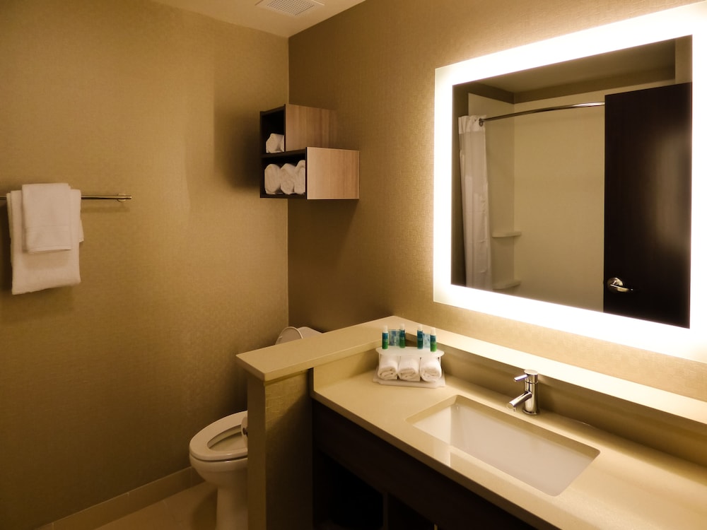 Holiday Inn Express And Suites Plymouth Ann Arbor Area 23/50