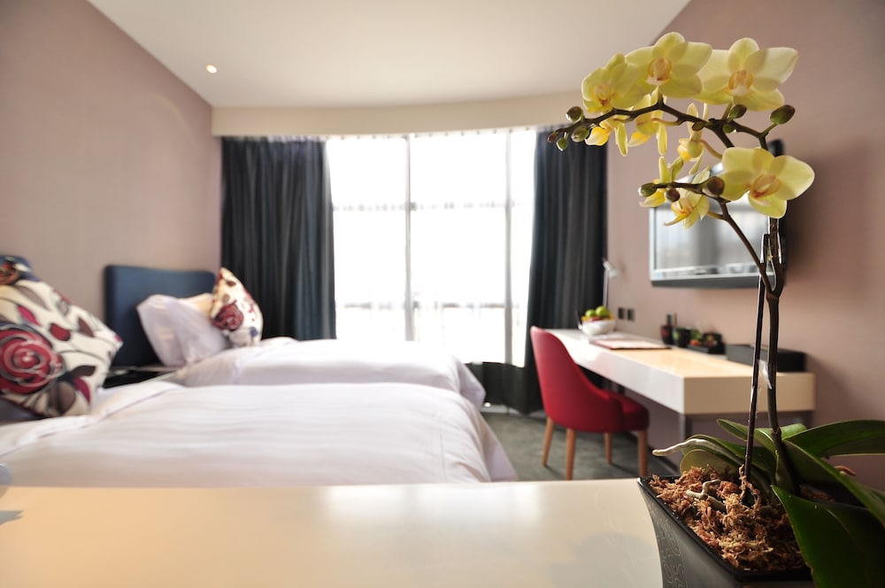 CHECK inn Taipei Xinyi 36/69