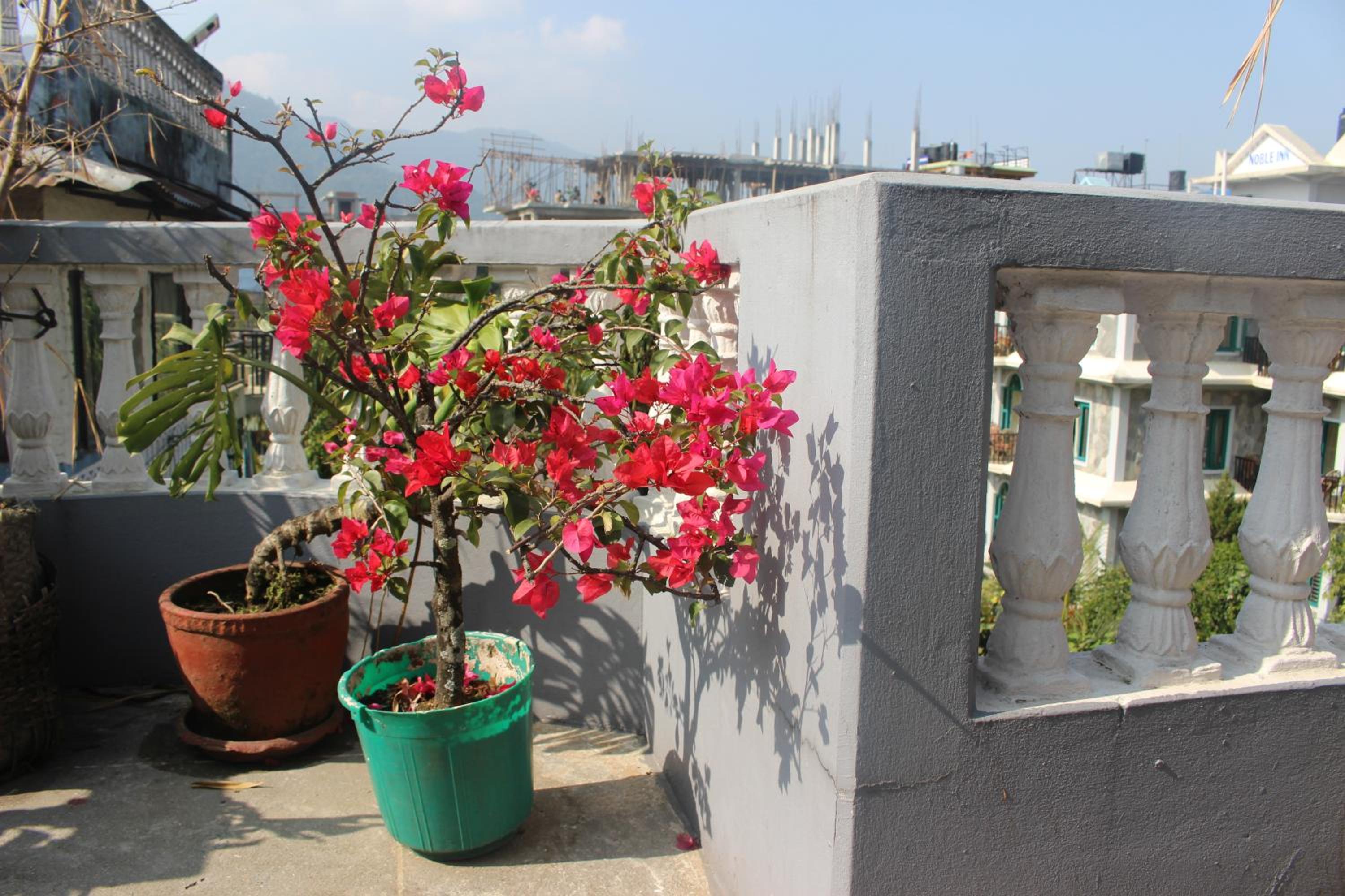 Hotel Fishtail Villa 18/24