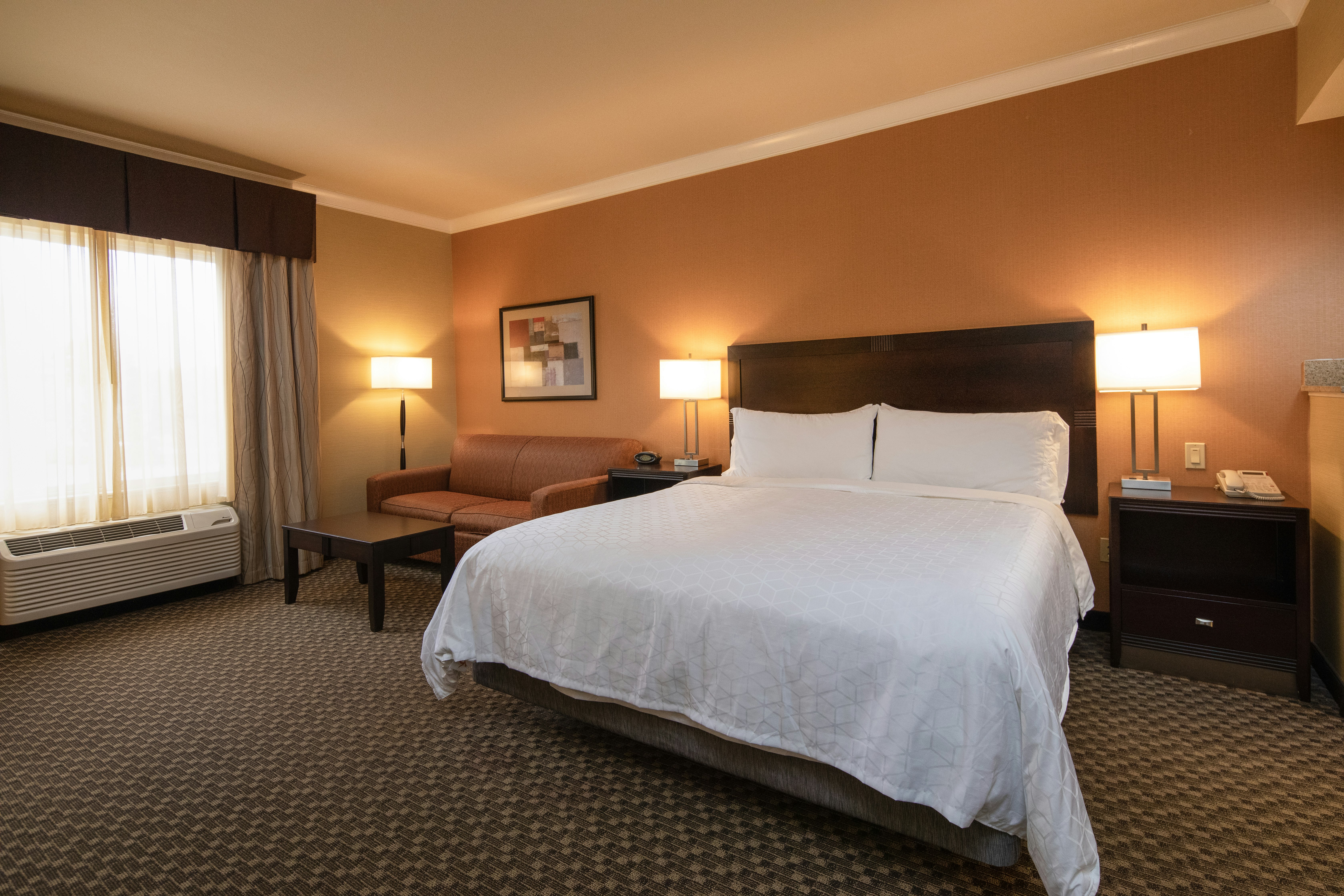 Holiday Inn Express Castro Valley 19/71