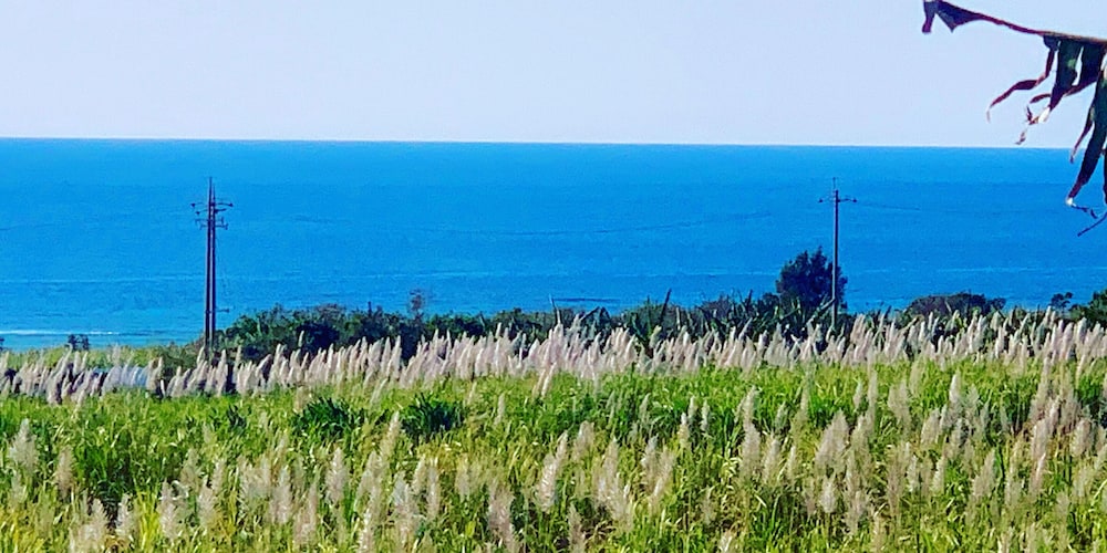 Panorama [VR] 58/62