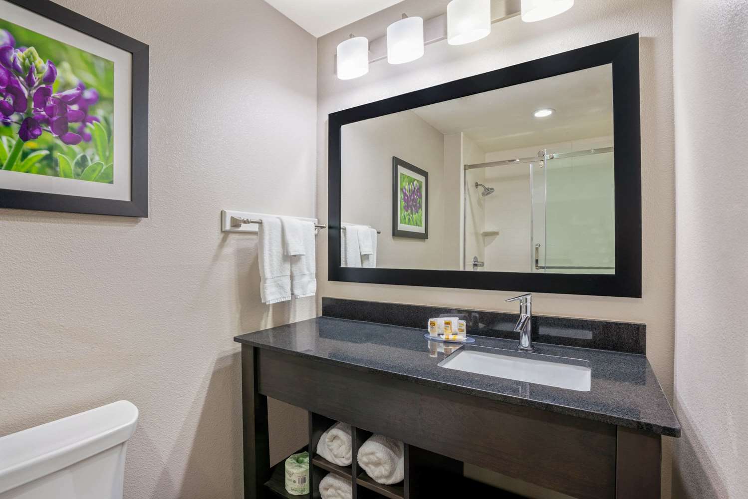 La Quinta Inn & Suites by Wyndham College Station South 61/64