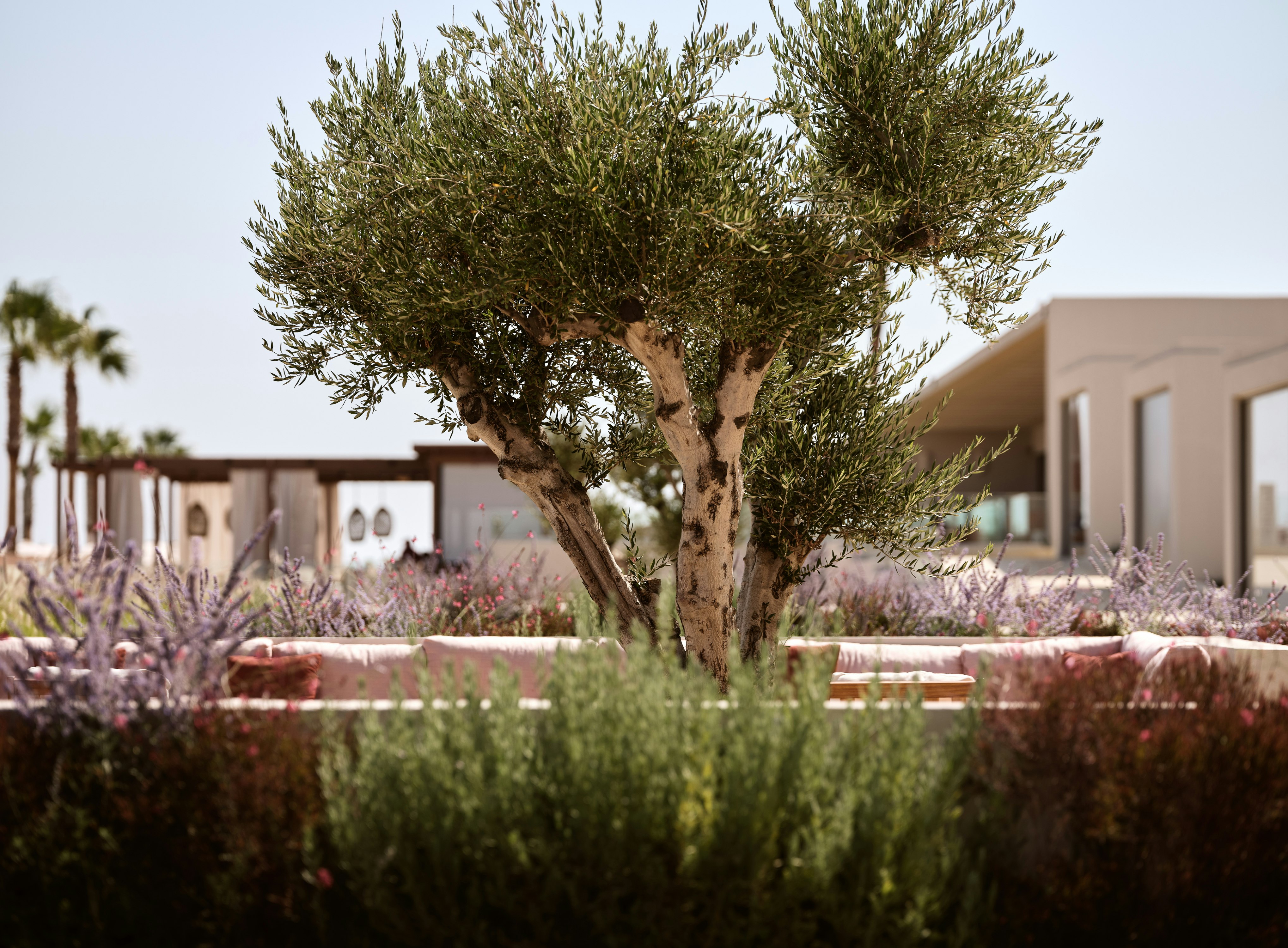 The Royal Senses Resort and Spa Crete Curio Collection by Hilton 36/49