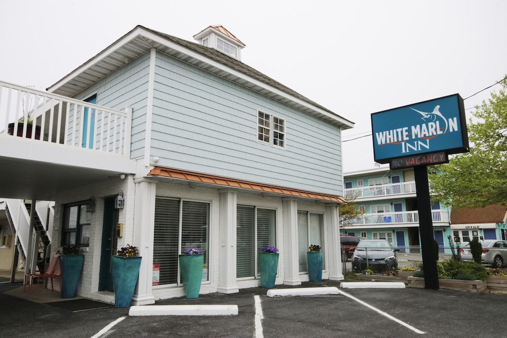 White Marlin Inn 10/18