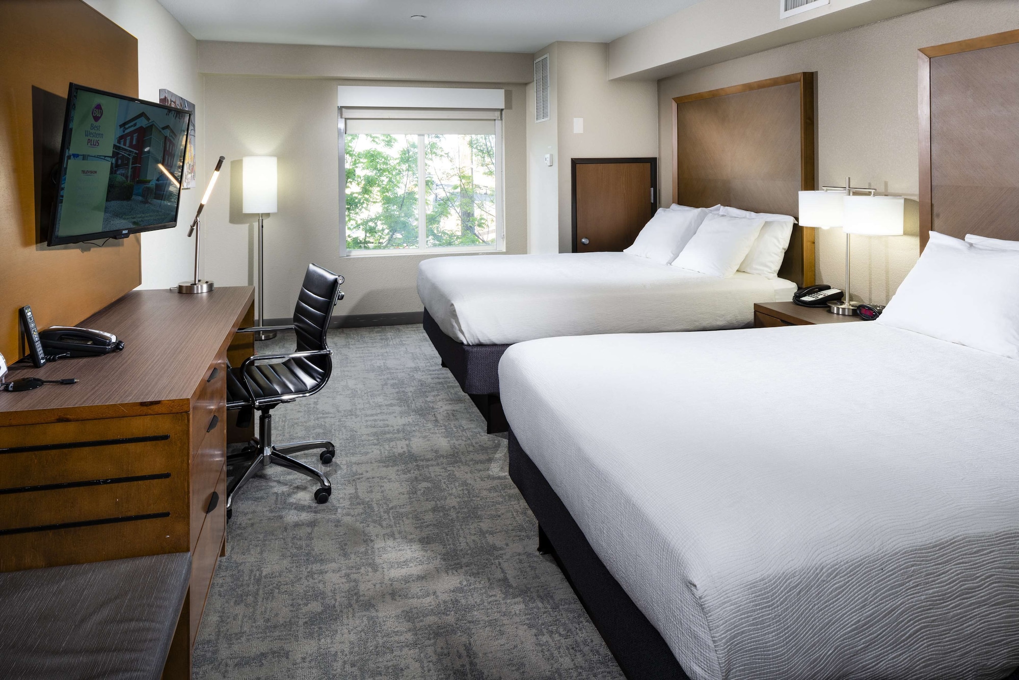 Suite, Single, 2 Queen Beds, Sofa, Accessible