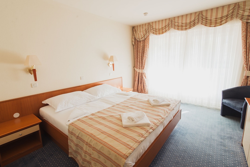 Family Hotel Pagus - All Inclusive 18/64