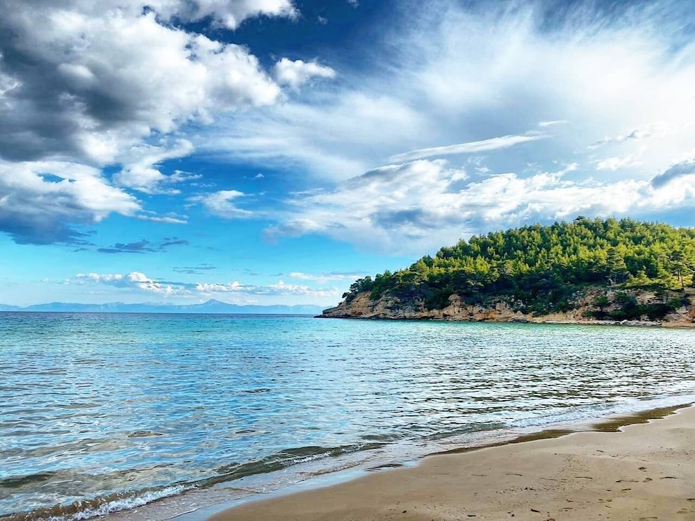 Alonissos Beach Bungalows And Suites Hotel 35/50