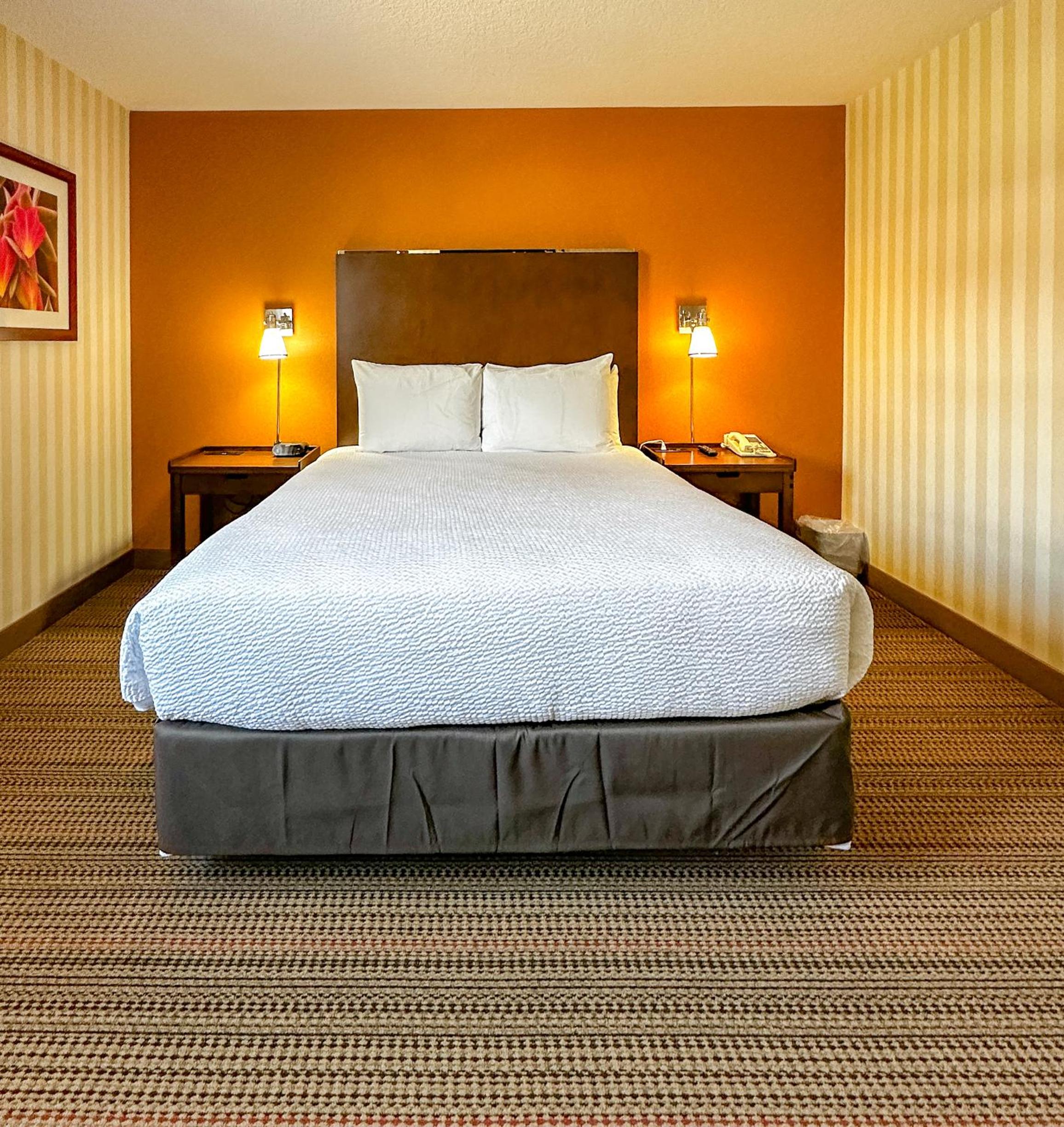 2 Bedrooms, Suite, King Bed, 1.5 Bathrooms