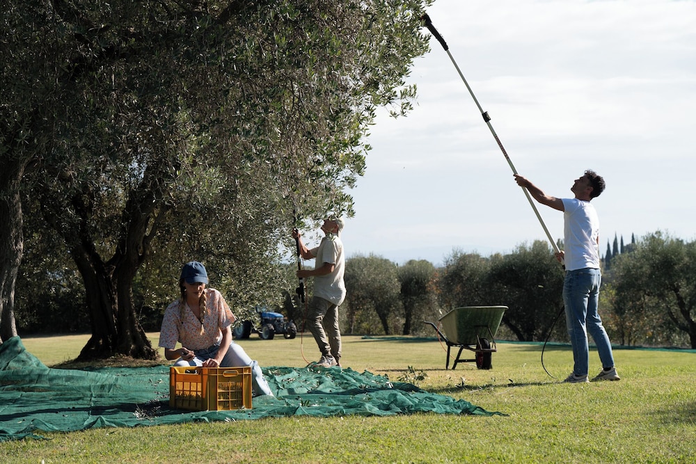 LOCANDA POGGIOLEONE 43/71