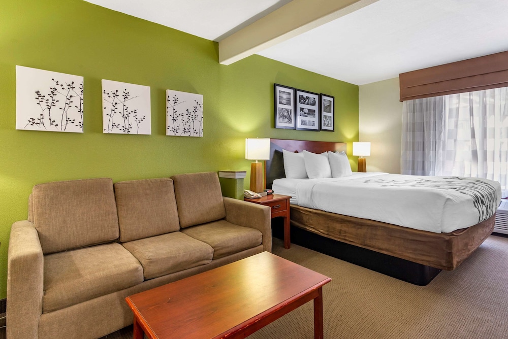 Sleep Inn & Suites Stockbridge Atlanta South 11/37
