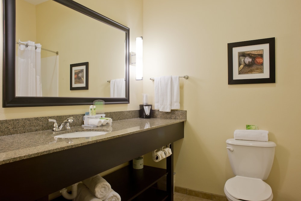 Holiday Inn Express Hotel And Suites Prattville South 45/53