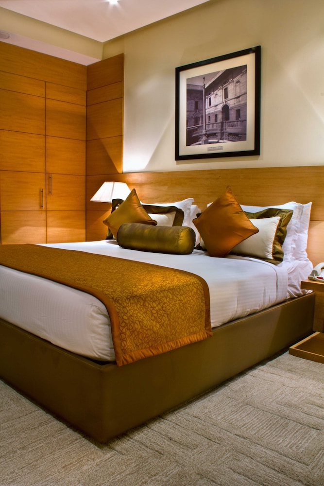 Radisson Blu Marina Hotel Connaught Place 9/75