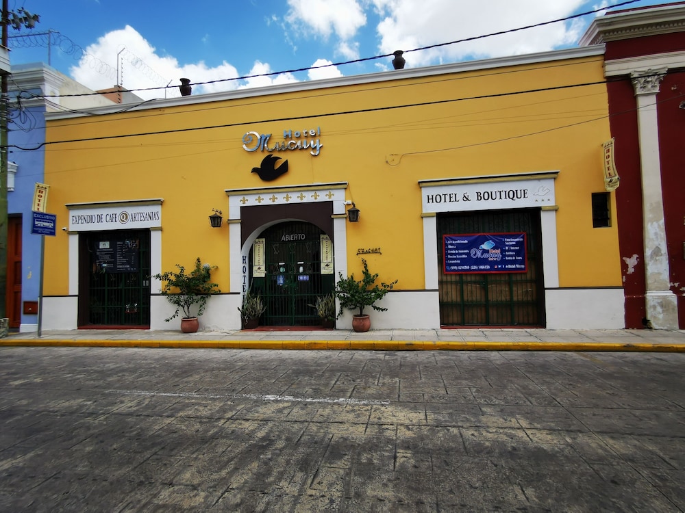 Hotel Mucuy 3/25