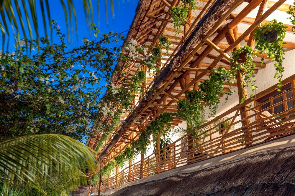 La Palma Holbox 22/34