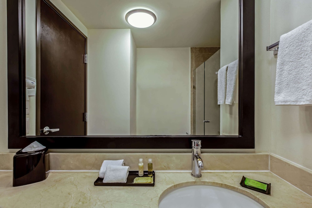 La Hotel By La Quinta San Luis Potosi 19/61