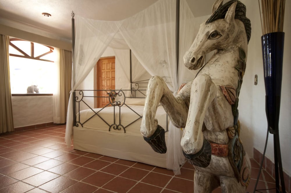El Rebozo Hotel 37/66