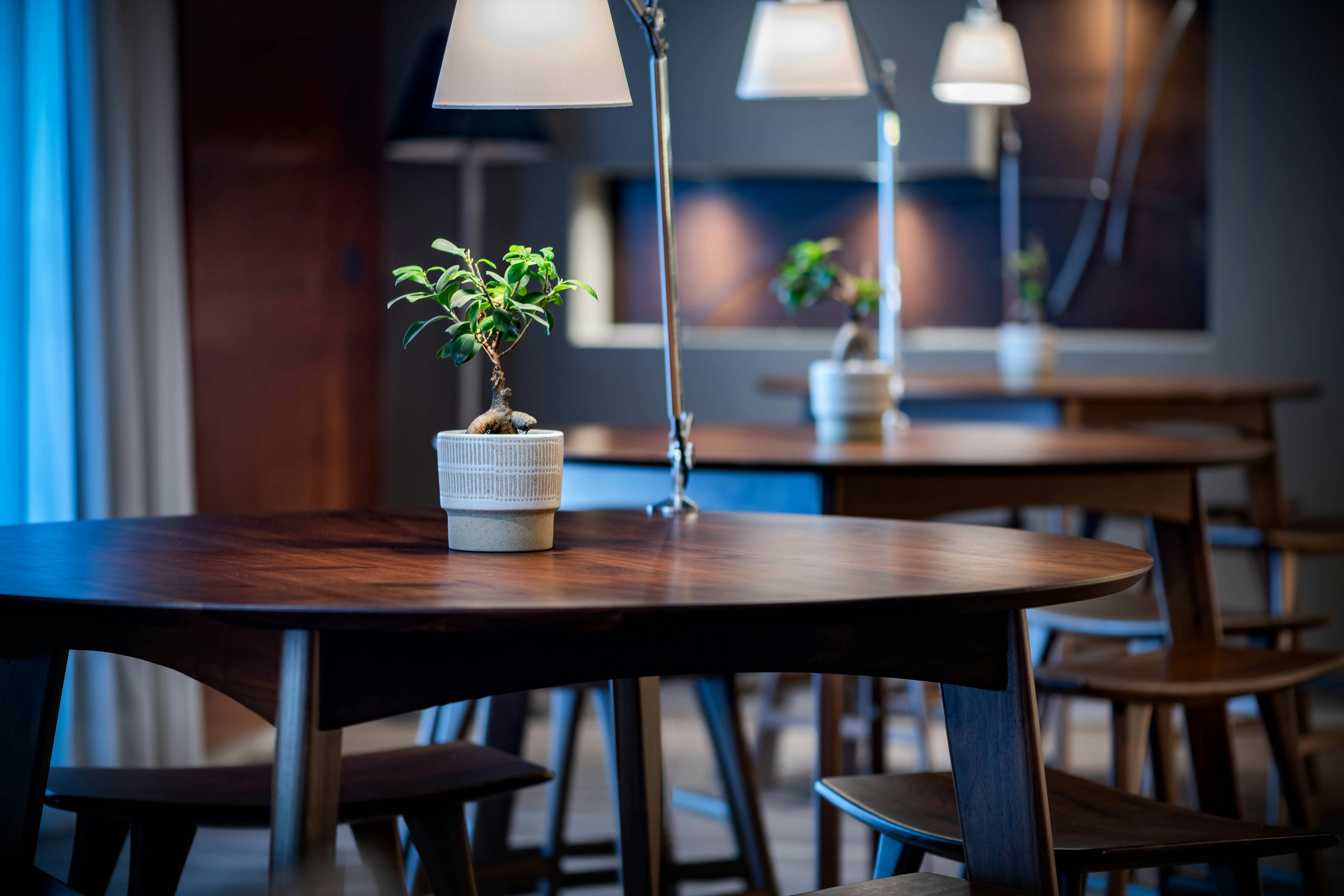 AC Hotel Badajoz by Marriott 37/49