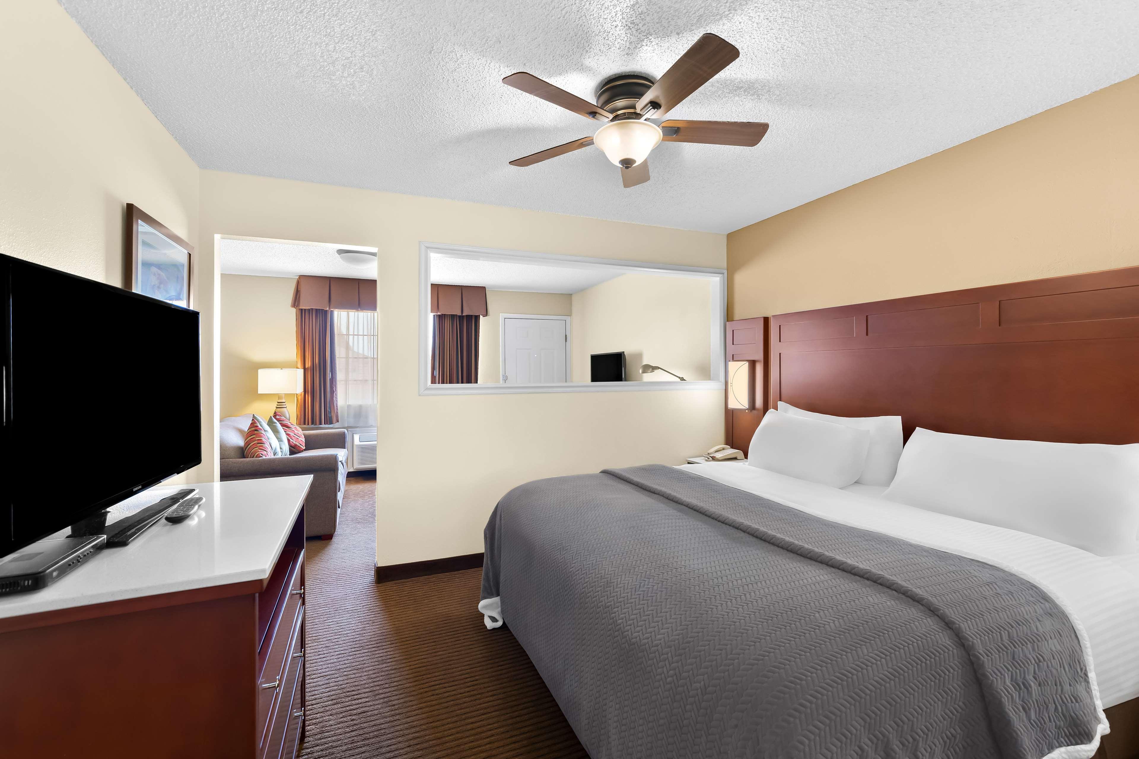 Suite, King Bed