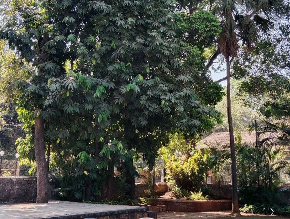 Hotel Mangal Residency 16/22