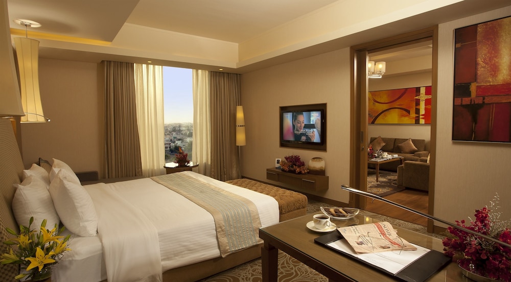 Radisson Blu Hotel Nagpur 13/70