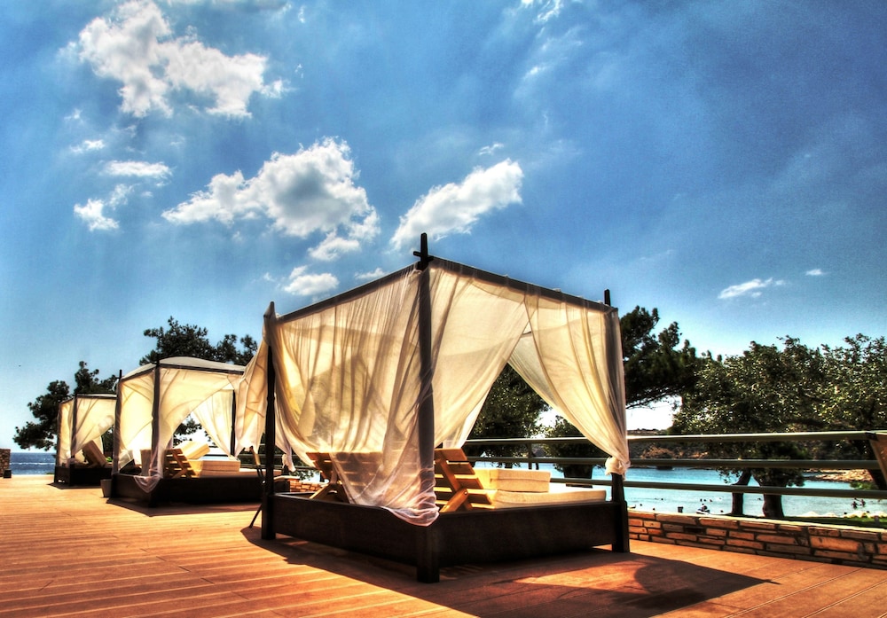 Royal Paradise Beach Resort And Spa 1/50