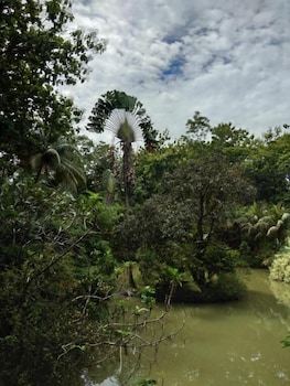 Sepilok Jungle Resort 31/62
