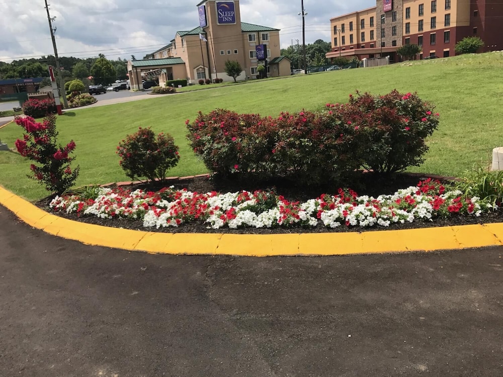 Lotus Inn and Suites 20/28