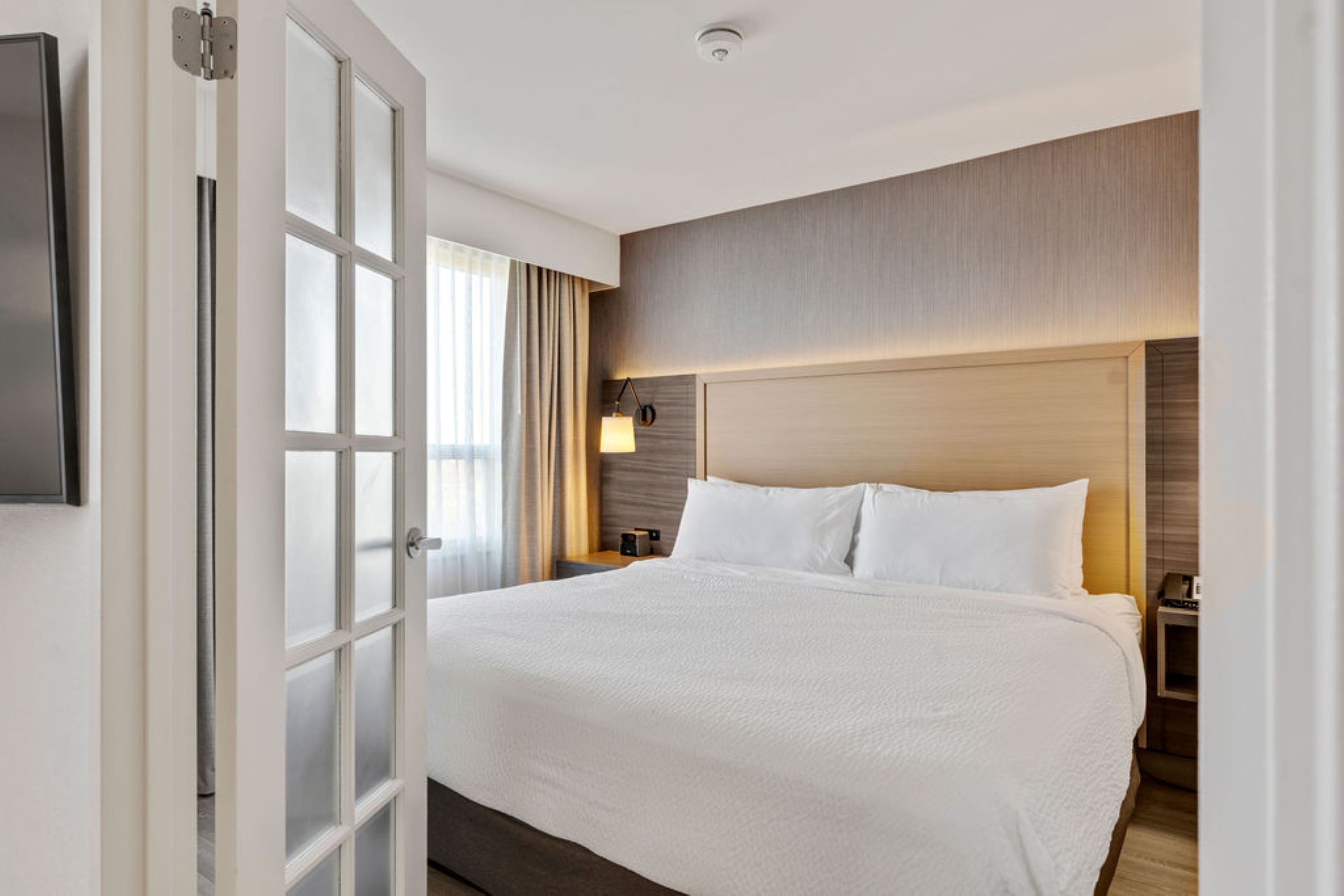 Suite, King Bed, Sofa
